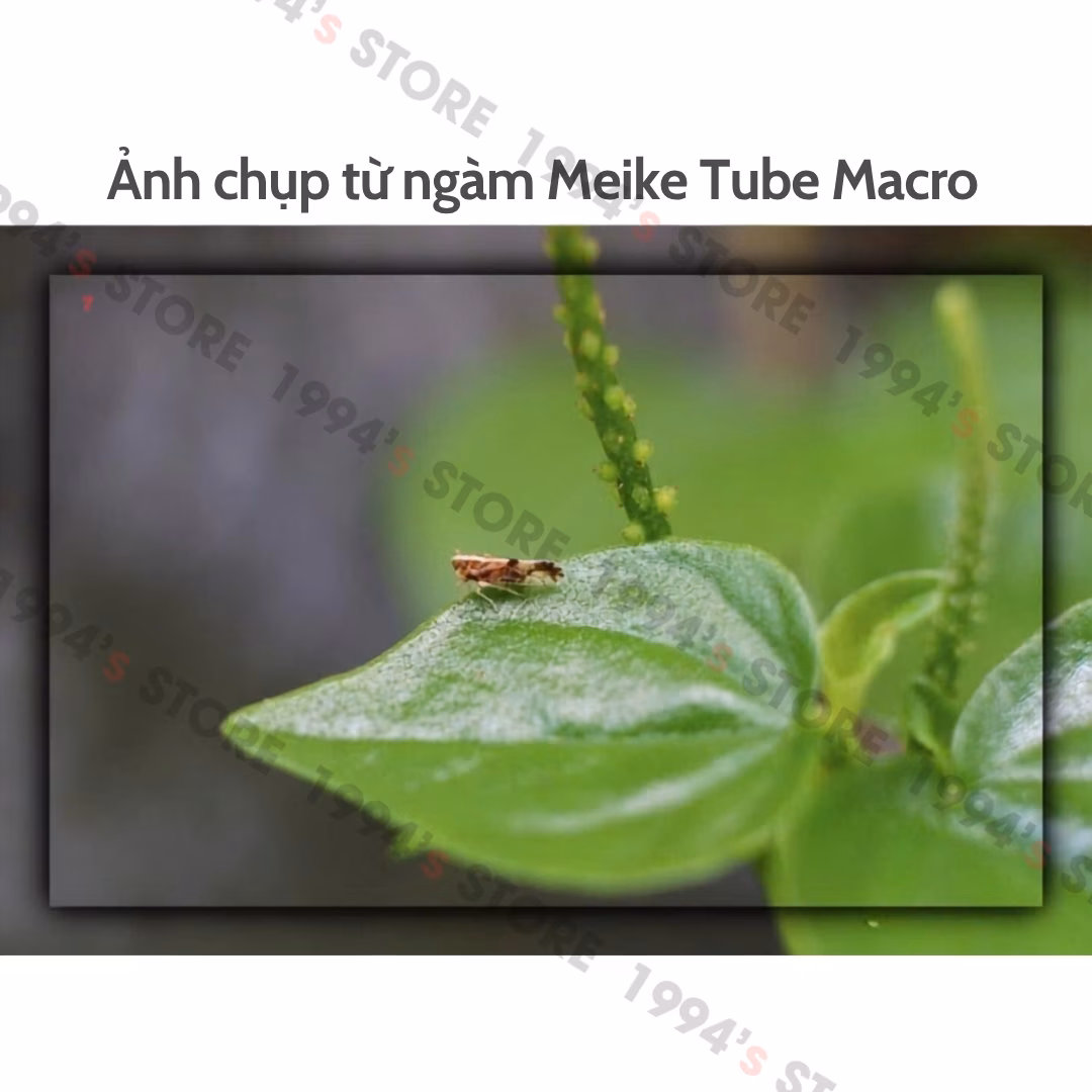 Tube Macro Meike cho Sony V2
