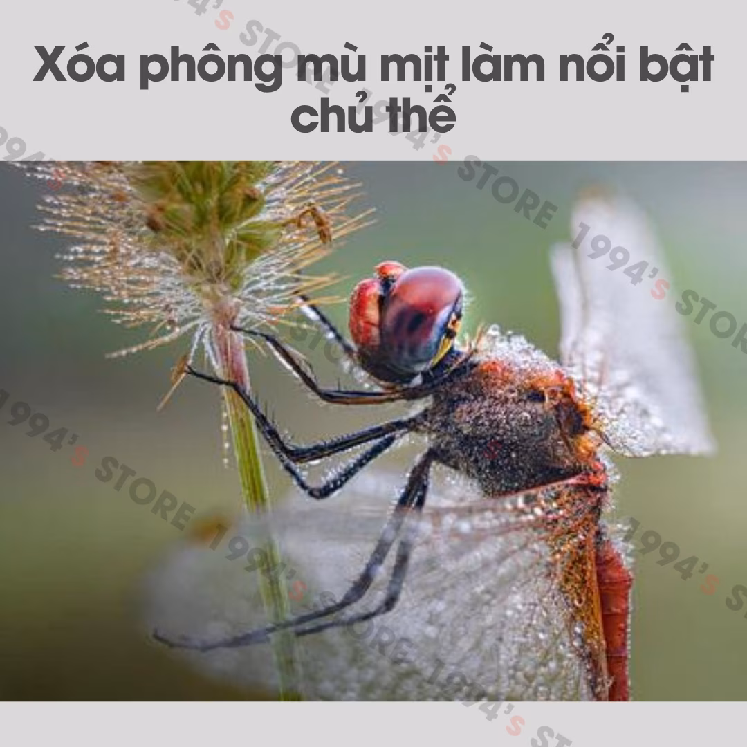Combo 2 Tube Macro Meike MK-S-AF3A cho Sony (Bản Version 2)