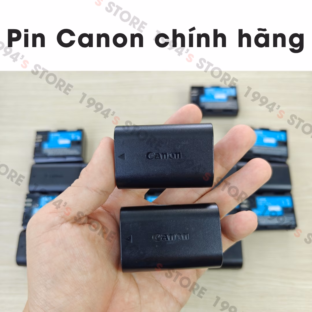 Pin Canon 80D