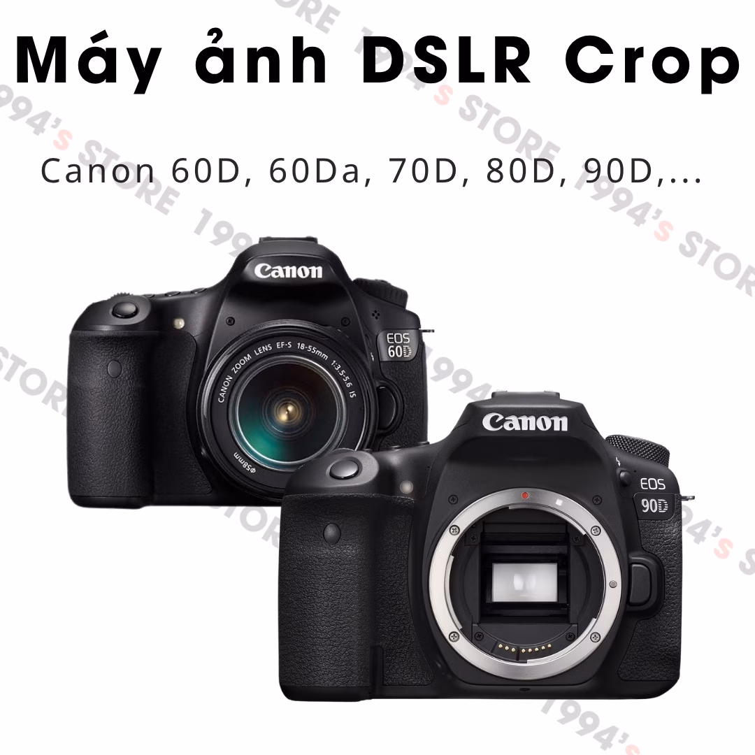 Pin Canon LP-E6