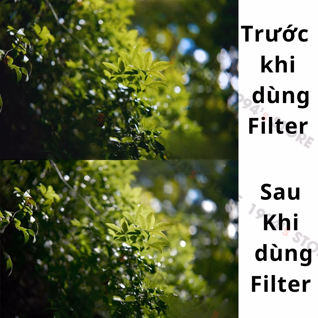 Kính lọc bảo vệ Hoya Pro1D